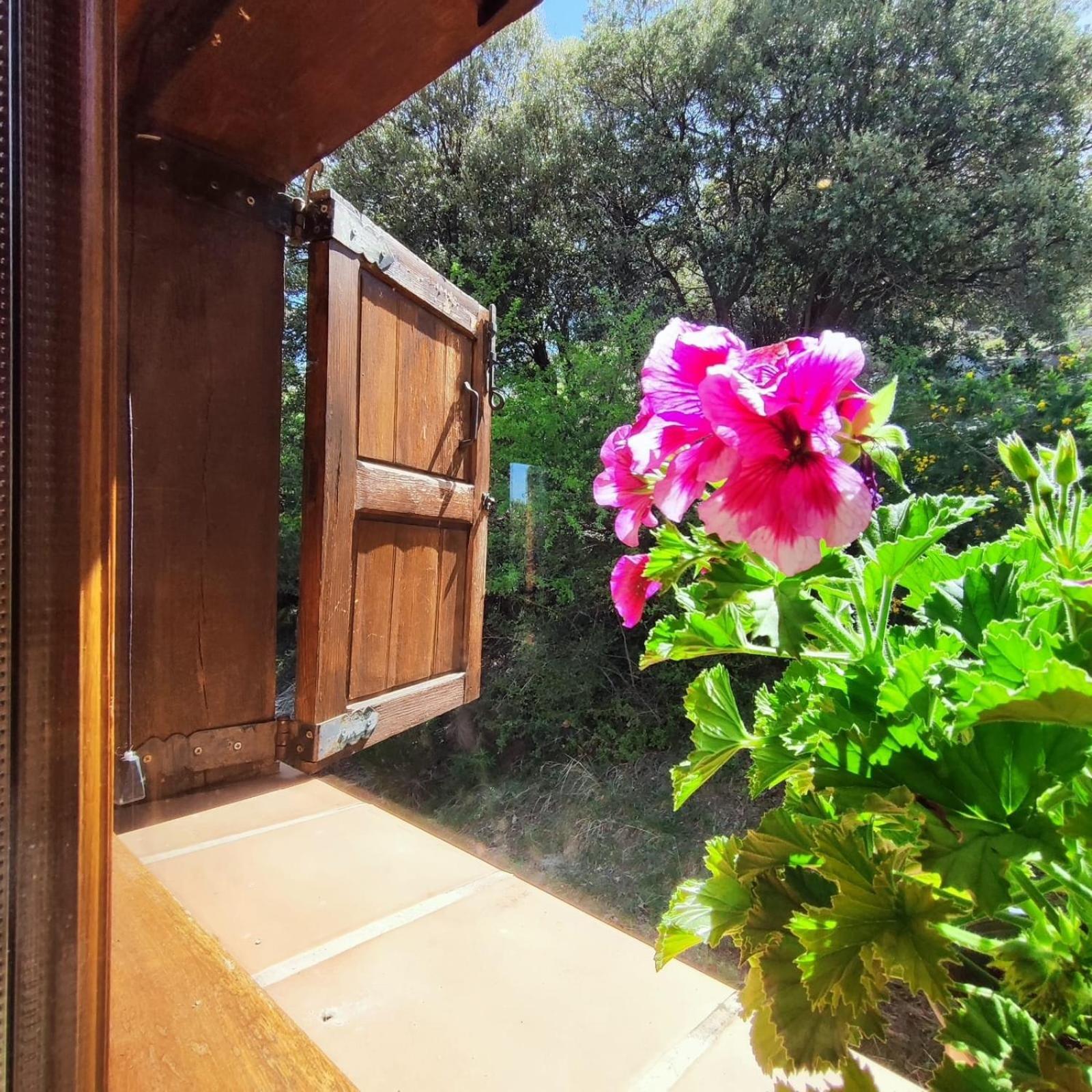 Refugio Del Aguila "Casa Diaman" Guest House Guejar Sierra Ngoại thất bức ảnh