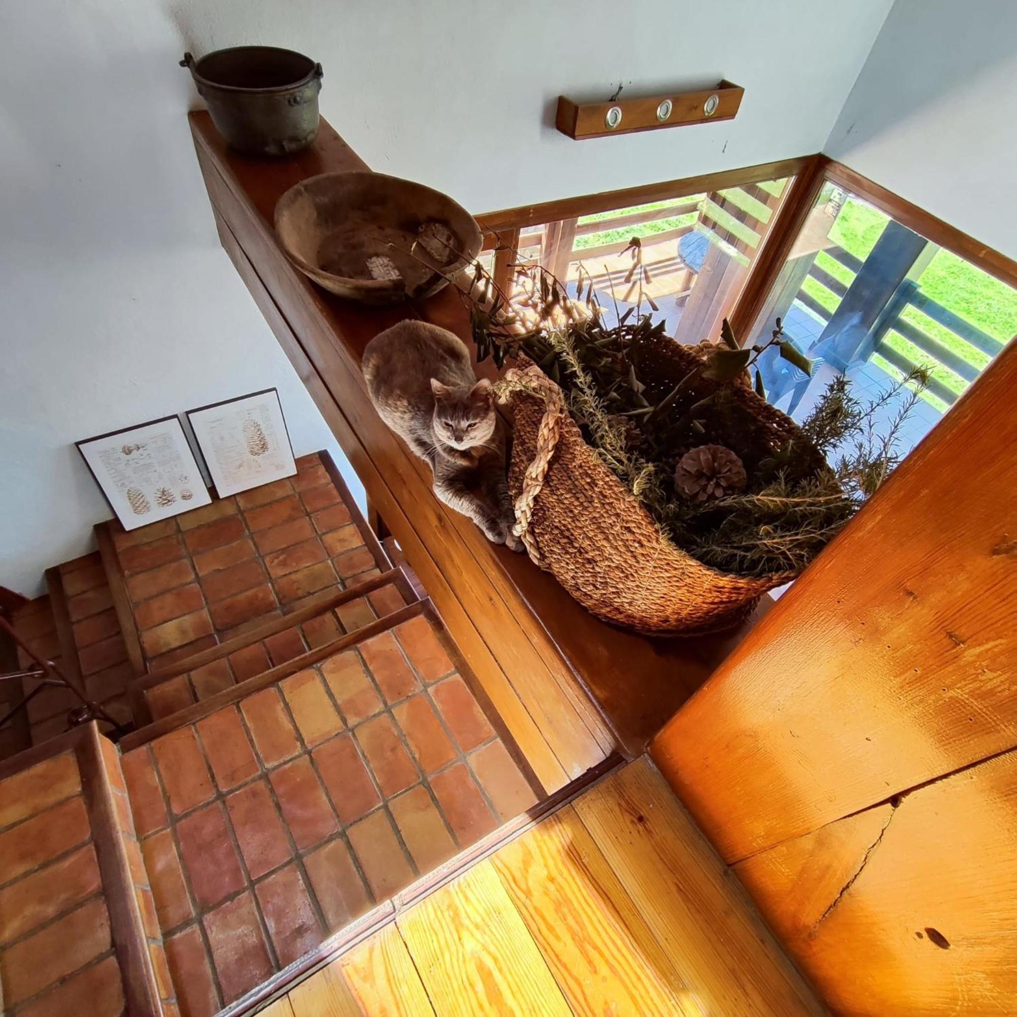Refugio Del Aguila "Casa Diaman" Guest House Guejar Sierra Ngoại thất bức ảnh
